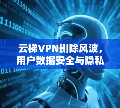 云梯VPN删除风波，用户数据安全与隐私保护的隐忧