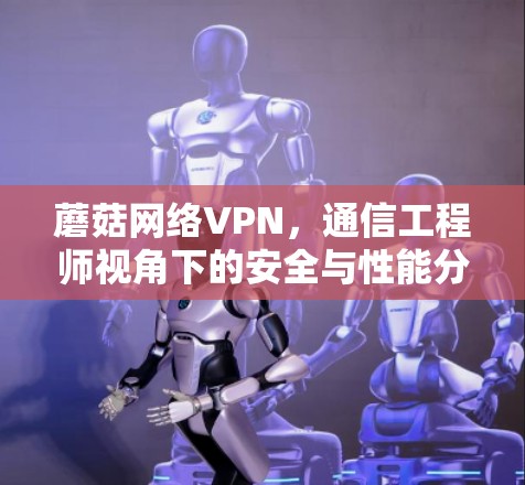 蘑菇网络VPN，通信工程师视角下的安全与性能分析
