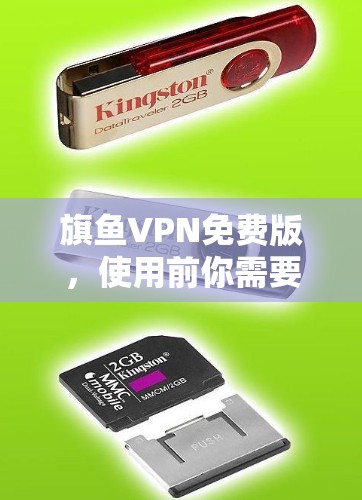 旗鱼VPN免费版，使用前你需要知道的几点
